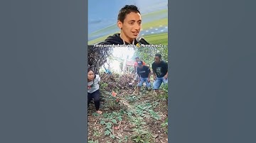 Try not to laugh challenge 🤫 Pt. 515 | Fanny comedy short video #funniestvideo #shorts #viralshort