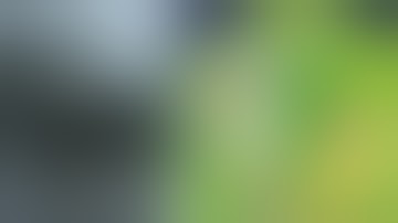 Paarthurnax reads the Rick and Morty Copypasta (Speech Synthesis)