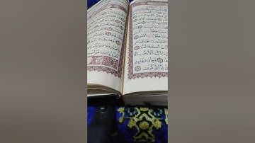 ماتيسر من سورة الفجر.القارئ عصام العبيدي
