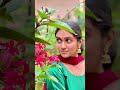 Gorgeous Rinku Rajguru's Beautiful Reel | #shorts