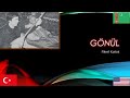 Gönül Heart With English Subtitle Turkish Song