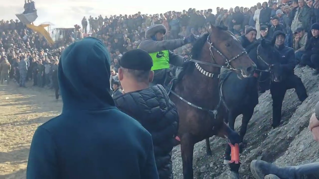 Бузкашии н.Шахристон Диёр +7 мошин бурд кард 