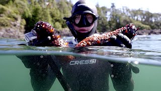 Freediving & Beachcombing Vancouver Islands West Coast 2022
