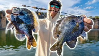 My Best Day Fishing Bluegills Ever! Giants under Deep Water Docks!