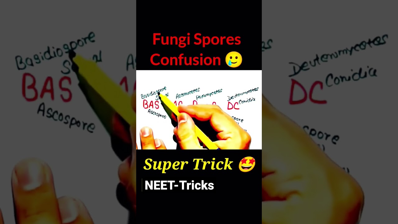 'FUNGI SPORES' Will Never Confuse You Again🔥| Easy Tricks | Neet         