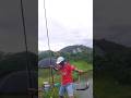 Câu được con trắm đen đen xì #caucathugian #cauca #fish #funny  #trắmđen