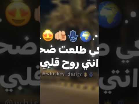 حبيت قمر منور دنيتى  حالات واتس اكسبلور تصميمي