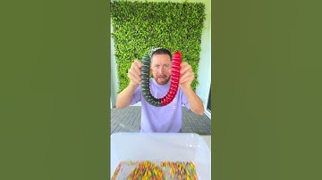 Giant Gummy Worm Nerds 😳🍬😄 #shorts #khamitovy #martaandrustam