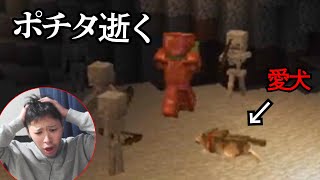 マイクラでせっかく仲間にした愛犬を失うあんていく【2025/11/27】