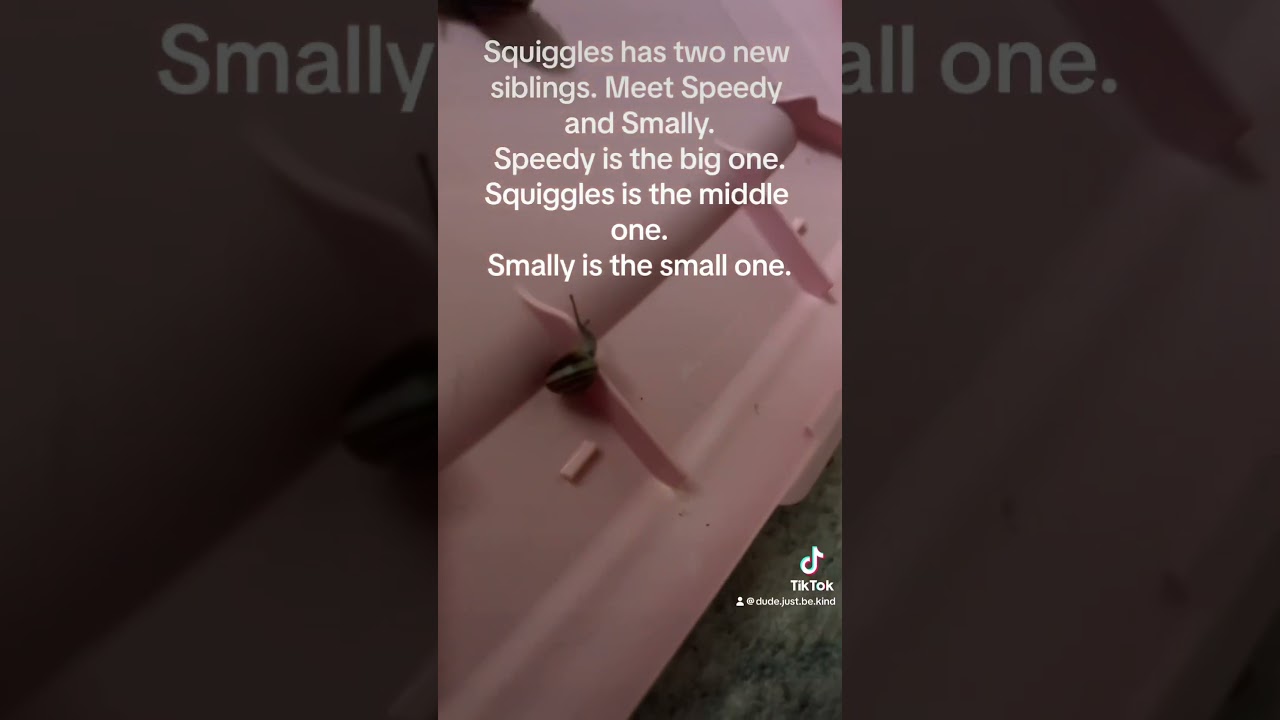 Meet Squiggles siblings 