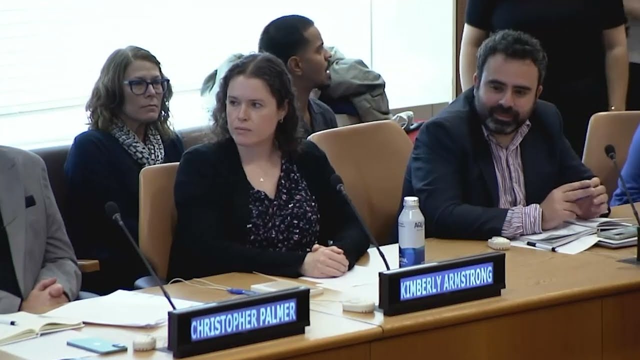 UN Think Tank on Autism and Aging - Part 3