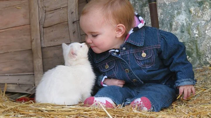 Watch the video about Baby & Cat Moments That Melt Your Heart!