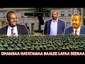 Dhamsaa Hatatamaa Umataa Baaleetif Dirmachuu Abiyi Oromo Milishaa Iraati Fixee Qaween Farsee Bulaan