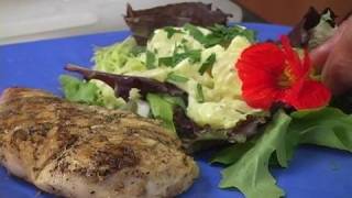 Chicken Recipe: Grilled Lemon Chicken Indoors or Out