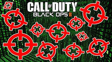 Black Ops 2 - PC AIMBOTTER & WALL HACKER!