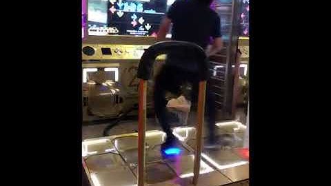 【DDR】PARANOiA Revolution CDP ノンバークリア 803k 【no bar】