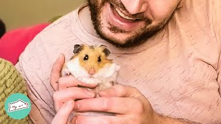 Man Gets A Hamster For His Daughter, But Falls For Him Instead | Cuddle Buddies