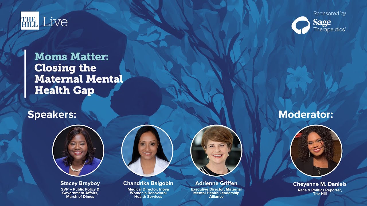 Panel: Barriers To Postpartum Care | Moms Matter: Closing the Maternal ...