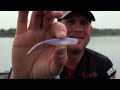 Bass Assassin 3 In Forward Facing Sonar Shad 