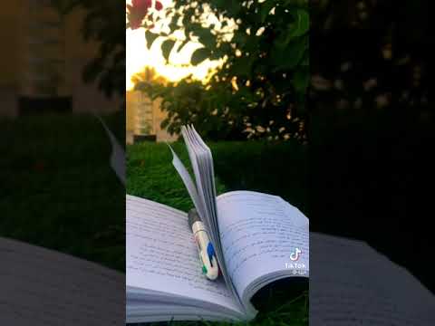 صباحتنا تفنى ويبقى التذكر