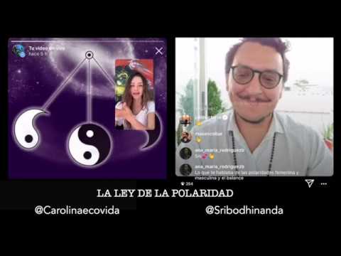 LA LEY DE LA POLARIDAD - YouTube