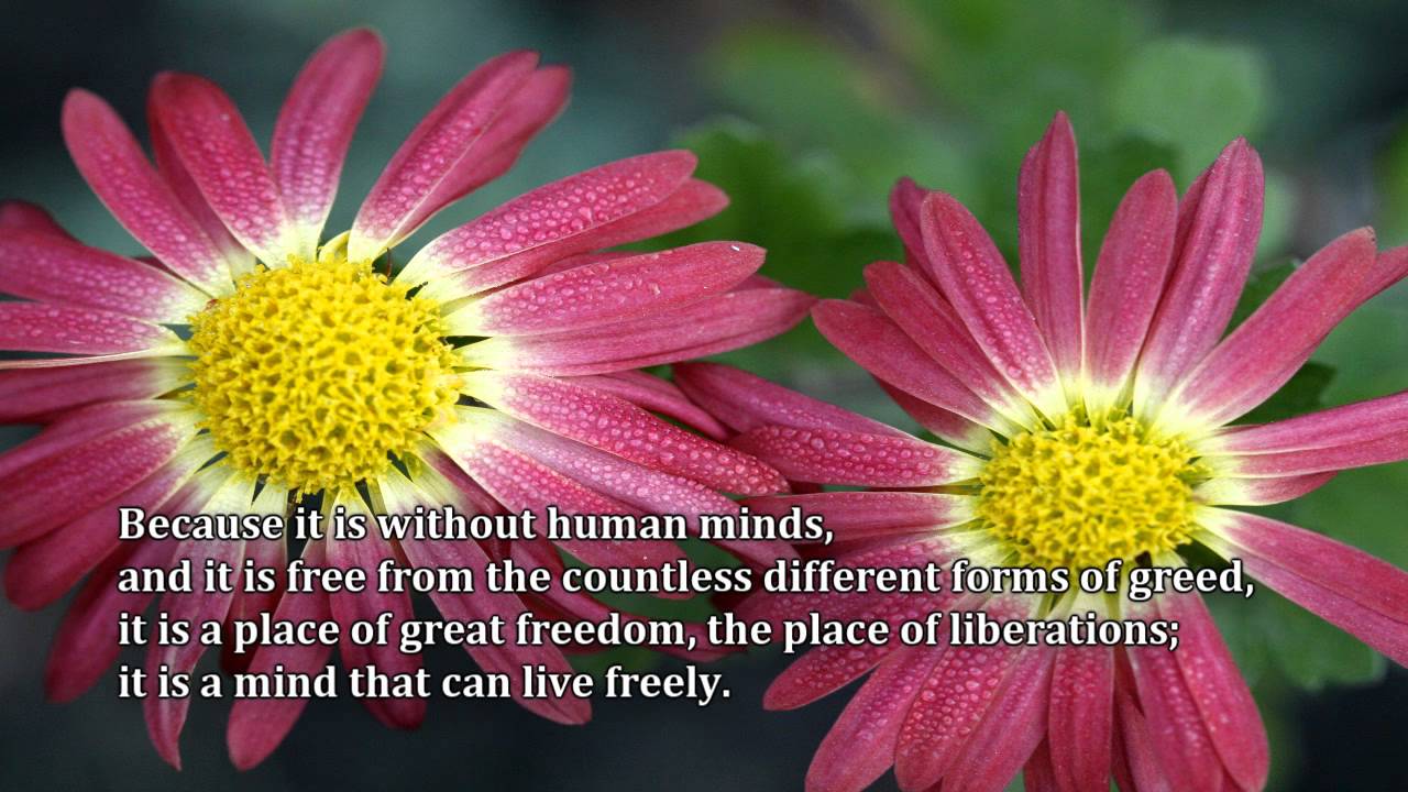 Maum Meditation Europe - Will You Vanish Forever Or Live As An Immortal