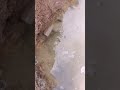ياغالي اتصل عليه واني اكلك شنو