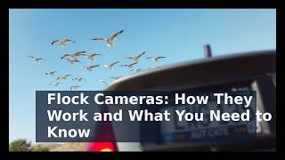 Flock Cameras: How They Work and What You Need to Know