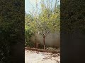 Çankırı Ilgaz Keşfet Beniöneçıkar 