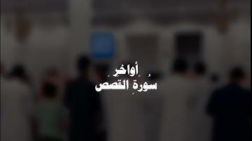 صلاة العشاء _ من أواخر سورة القصص _#ياسر_محمد