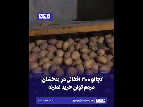 کچالو ۳۰۰ افغانی در بدخشان؛ مردم توان خرید ندارند