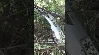 Tragedia en las carreteras alavesas. Dos jóvenes mueren en un accidente.