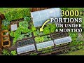 Highlyproductive kitchen garden yields 300kg650lbs in only 5 months