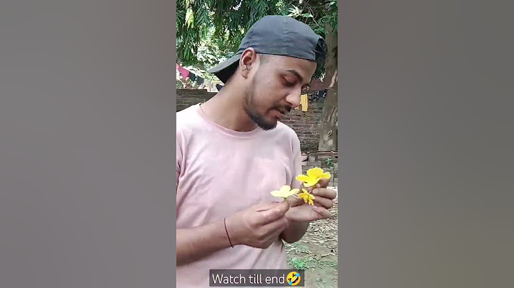 Anaya Or Mummy Ne Papa Ko Sabak Sikhaya 😱🤣