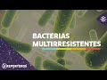 Los reporteros | El peligro de las bacterias resistentes