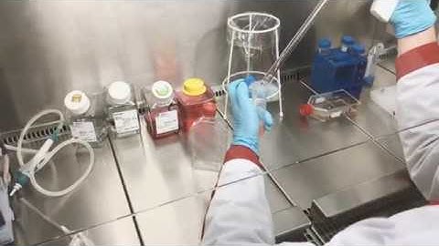 #TechThursday LXXVII: Taking care of human cell lines 🧫