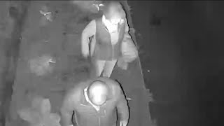 Video shows older couple destroying property at Westchester home