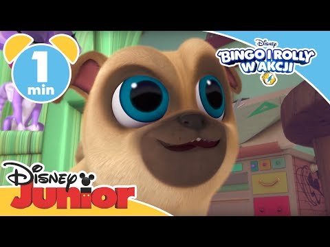 Bingo i Rolly w akcji  - Maszyna do aportowania - Oglądaj w Disney Junior