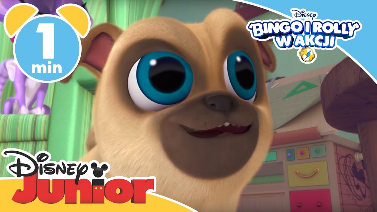 Bingo i Rolly w akcji | Maszyna do aportowania | Oglądaj w Disney ...