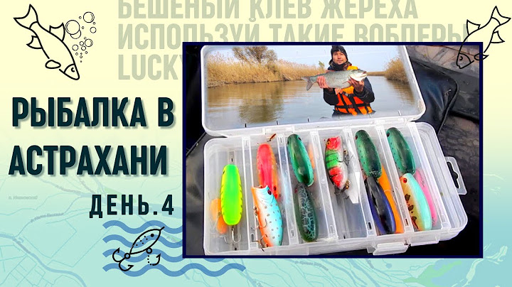 Используй такие воблеры для ловли жереха в Астрахани! Осенний жор жереха в Астрахани. День 4.
