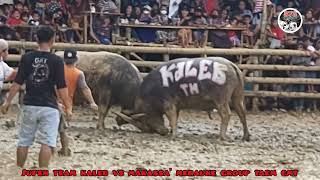 Download Lagu JUPEN KALEB VS MAKASSA' MERAUKE GROUP MP3