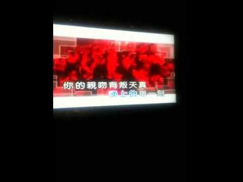 張惠妹 不像個大人