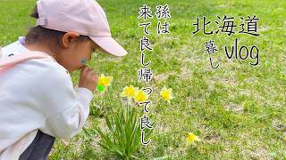 孫と過ごしたGWからいつもの暮らしに戻る/北国 遅い春の台所しごと 山菜コゴミLife in Hokkaido, Japan