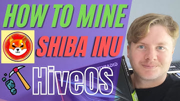 How to Mine Shiba Inu Coin on HiveOS With LolMiner