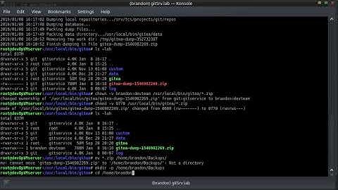 Gitea Self Hosted git Repository Backup on Ubuntu 18 04 without git user password