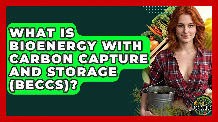 What Is Bioenergy With Carbon Capture And Storage (BECCS)? - The World of Agriculture