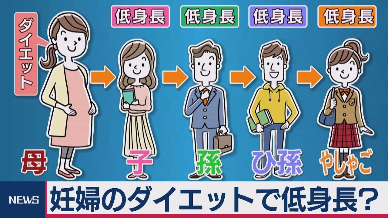 縮む日本人の身長 妊婦のダイエットで低身長 のメカニズム解明 Youtube