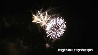 Dragons Blooming Garden Premium Variant 2 - J06F