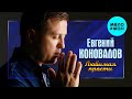 Евгений Коновалов  - Любимая, прости (Single 2021)