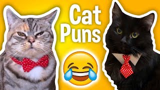(REMASTERED) Thomas and Friends Make Awful Cat Puns by Christiano Donaldo 105 views 4 months ago 2 minutes, 34 seconds